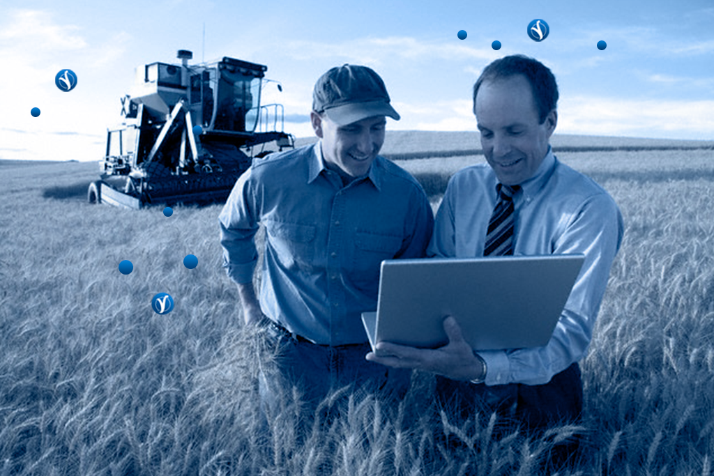 RPA para agronegócio: como essa tecnologia soma para além do campo