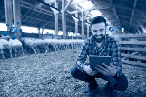 Automação de processos no agronegócio